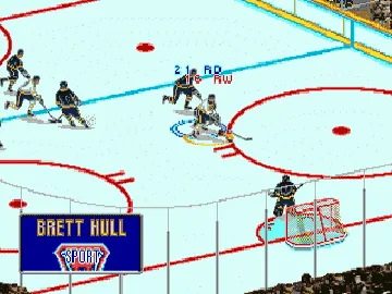 Brett Hull Hockey '95 (USA) screen shot game playing